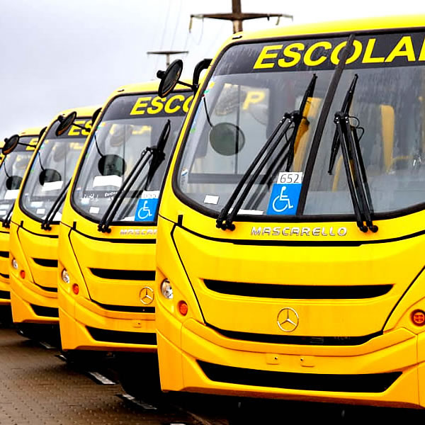Curso de Transporte Escolar